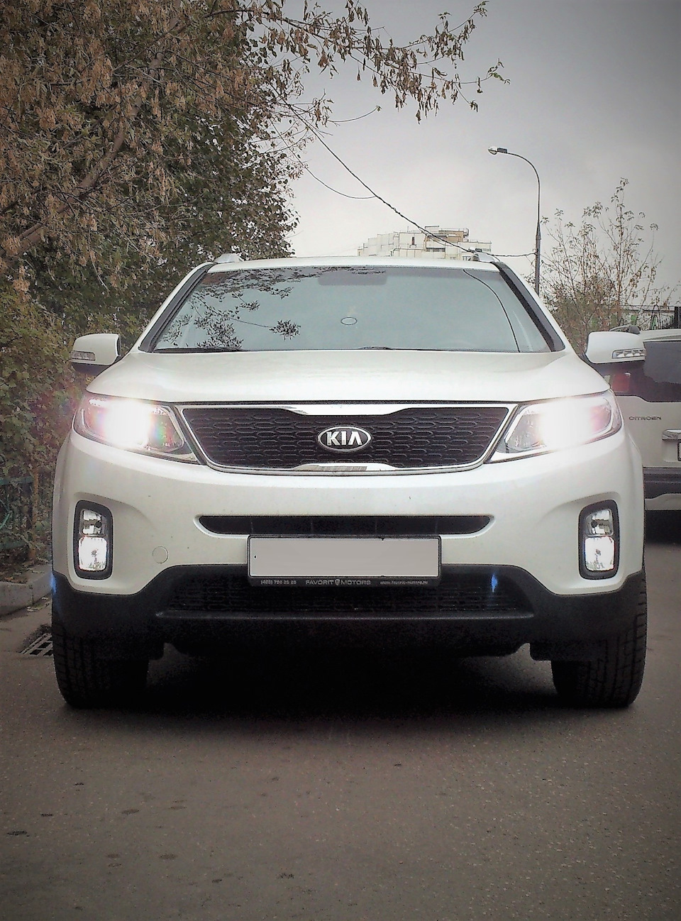 Выбор ламп ближнего света — KIA Sorento (2G), 2,4 л, 2015 года | стайлинг |  DRIVE2