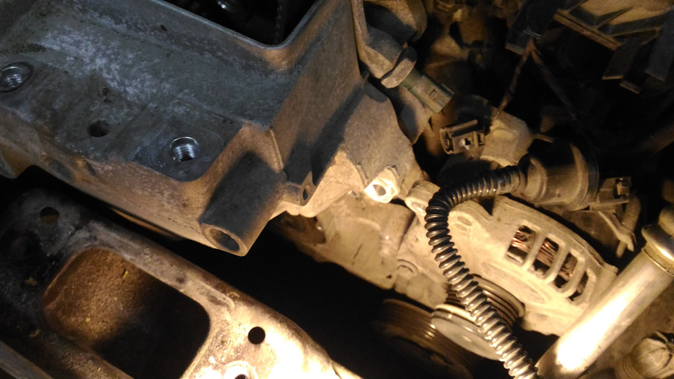 Фото в бортжурнале Skoda Octavia A7 Mk3