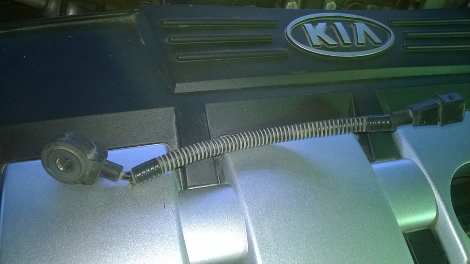 Фото в бортжурнале KIA Cerato (1G)