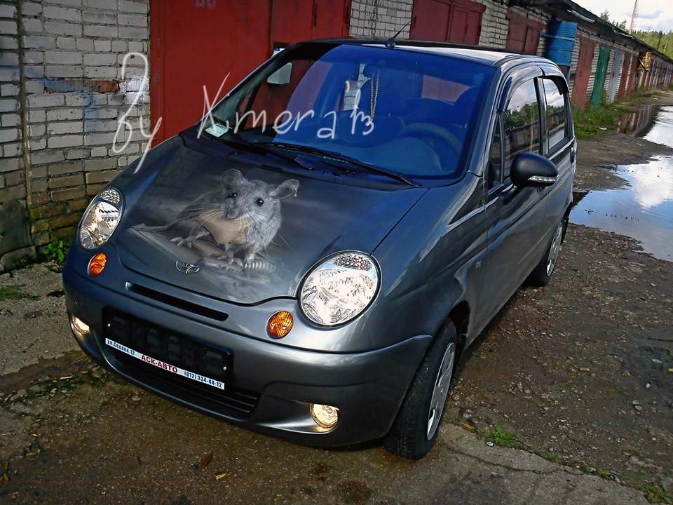 Daewoo Matiz - аэрография в Новомосковске