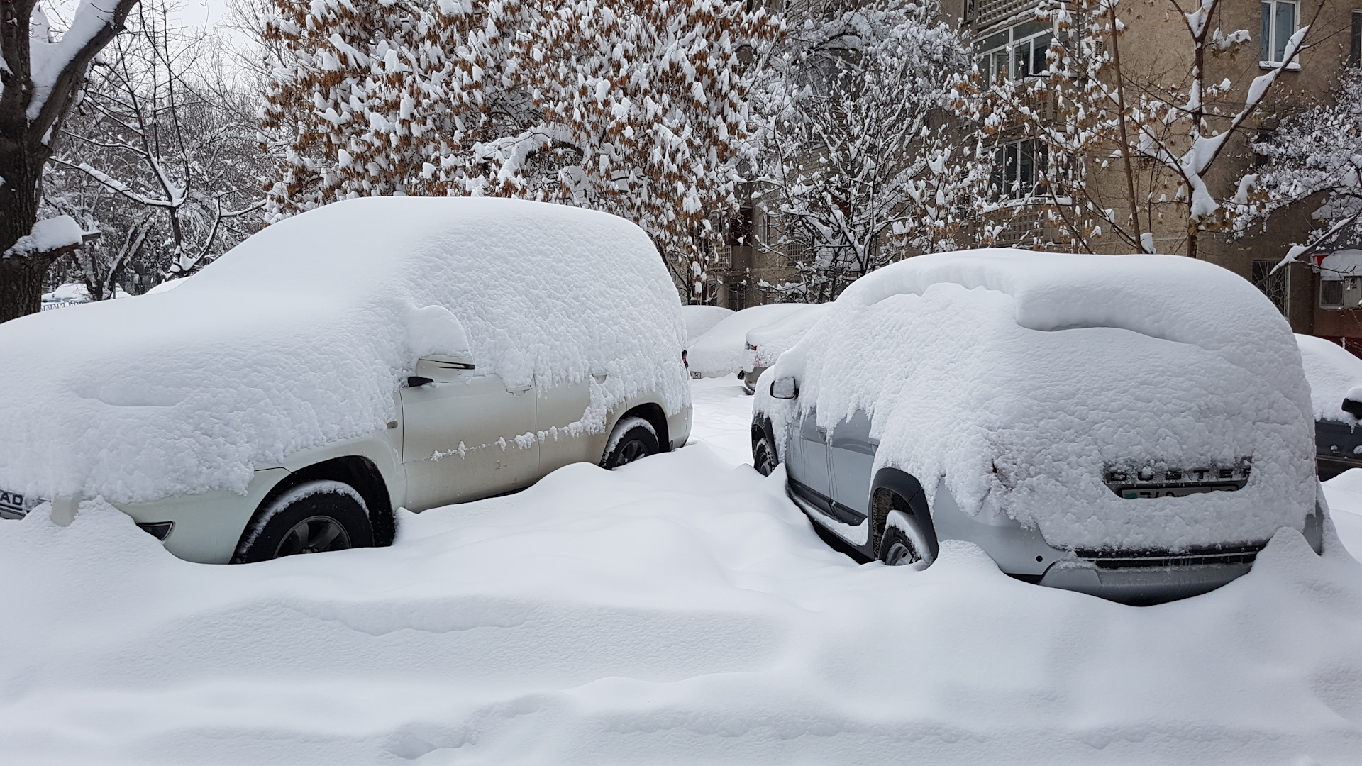 Снежная 16. Hyundai v Snow. F16 Snow.