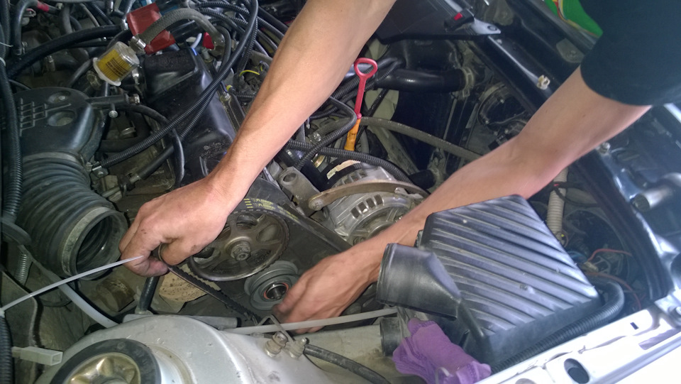 в какую сторону натягивать ролик грм пассат б3. Смотреть фото в какую сторону натягивать ролик грм пассат б3. Смотреть картинку в какую сторону натягивать ролик грм пассат б3. Картинка про в какую сторону натягивать ролик грм пассат б3. Фото в какую сторону натягивать ролик грм пассат б3 в какую сторону натягивать ролик грм пассат б3. Смотреть фото в какую сторону натягивать ролик грм пассат б3. Смотреть картинку в какую сторону натягивать ролик грм пассат б3. Картинка про в какую сторону натягивать ролик грм пассат б3. Фото в какую сторону натягивать ролик грм пассат б3