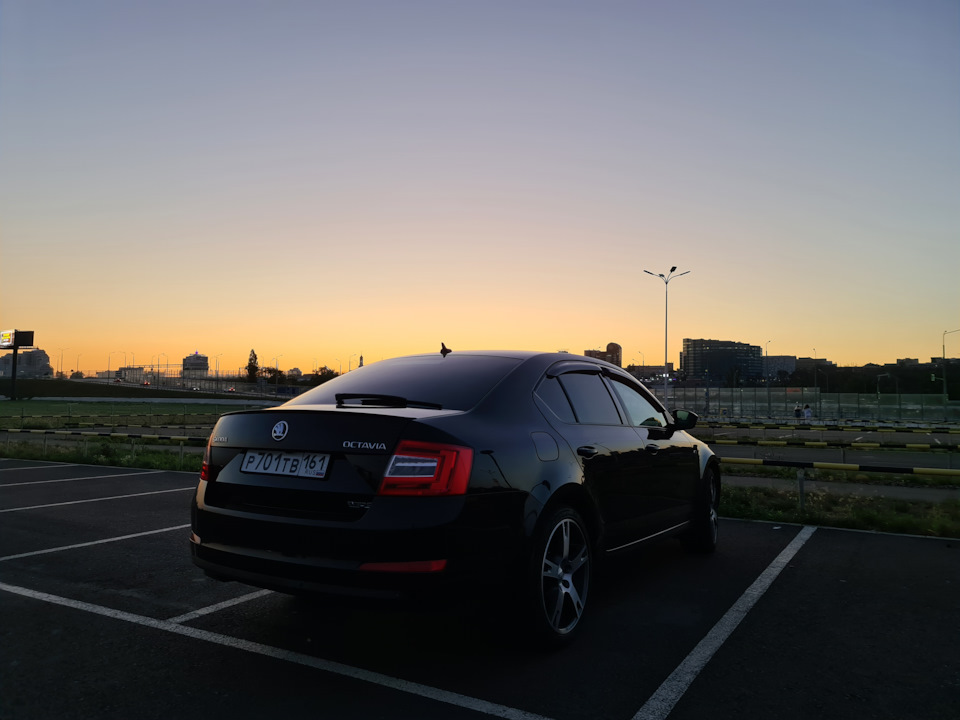 Фото в бортжурнале Skoda Octavia A7 Mk3