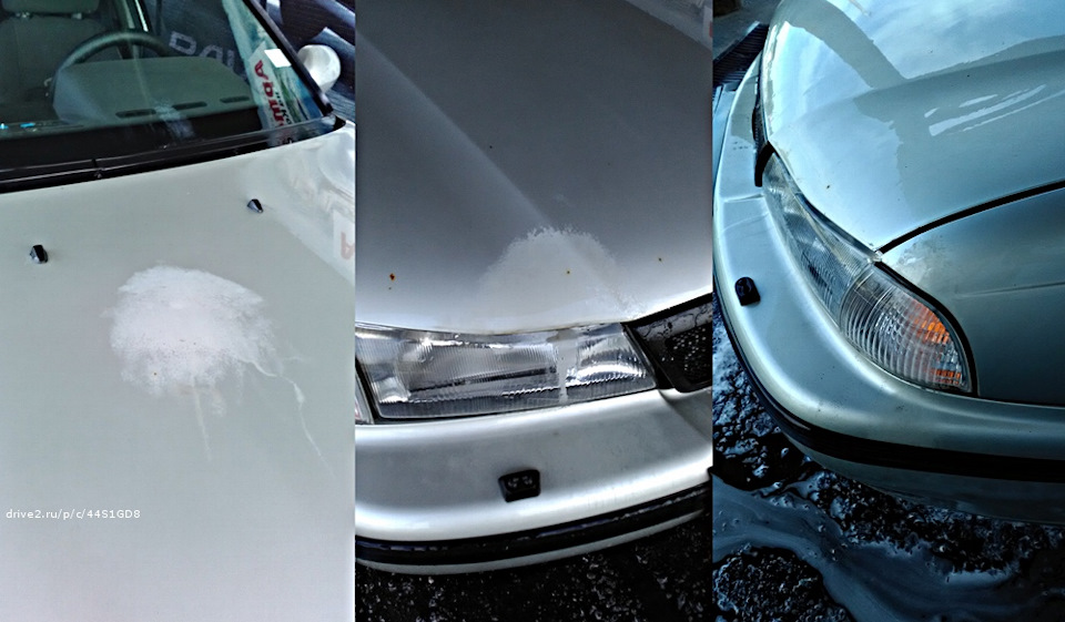 Фото в бортжурнале Daewoo Nexia (2G)