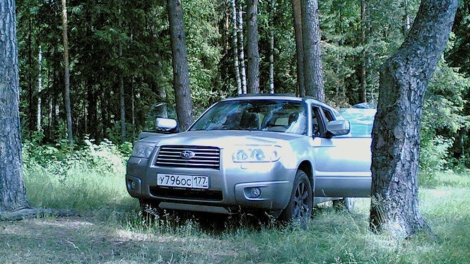 Forester все Forester все