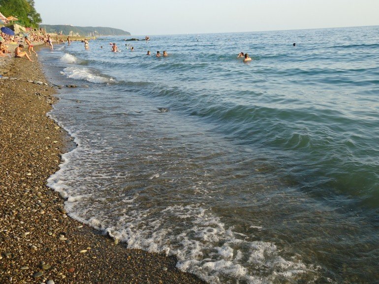 11 tips gathered in the Black sea by car