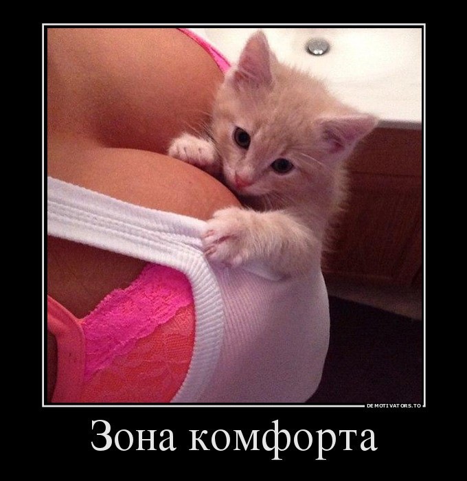 Смешные картинки для мужчин для поднятия, днем рождения мужчине