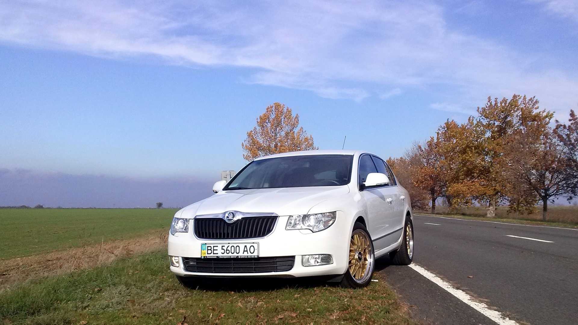 Авито показать шкоду. Шкода Суперб 2. Skoda Superb 2004 белый. BBS Skoda Superb 2. Skoda Octavia Combi.