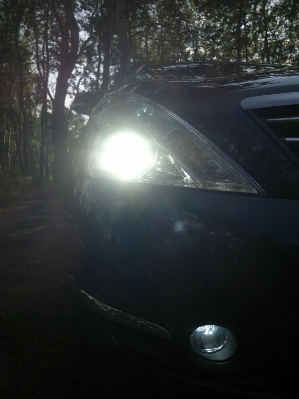 ПТФ и габариты — Nissan Teana (J32), 2,5 л, 2011 года | стайлинг | DRIVE2