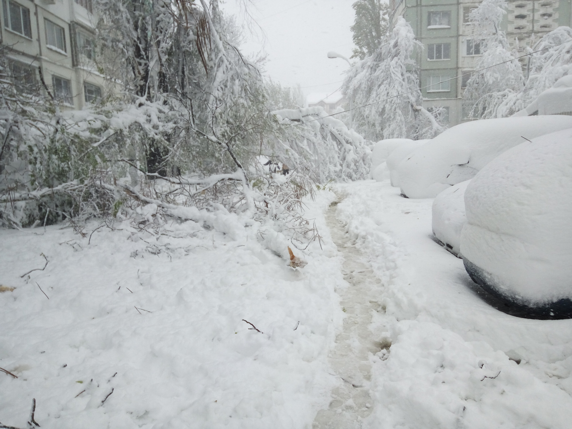 Снегопад какой. Снегопад ЧС. Природные катастрофы снегопад. Снегопад в городе. Сильный снегопад ЧС В городе.