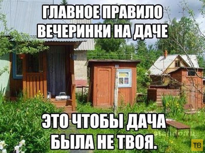 Веселые картинки про дачу