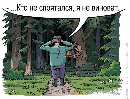 Открытки новый, картинки смешные про грибников