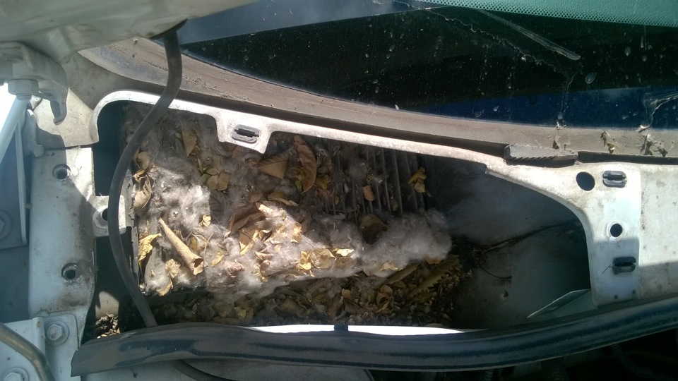 Решил продуть салонный фильтр сжатым воздухом…и как обнаружил не зря ...