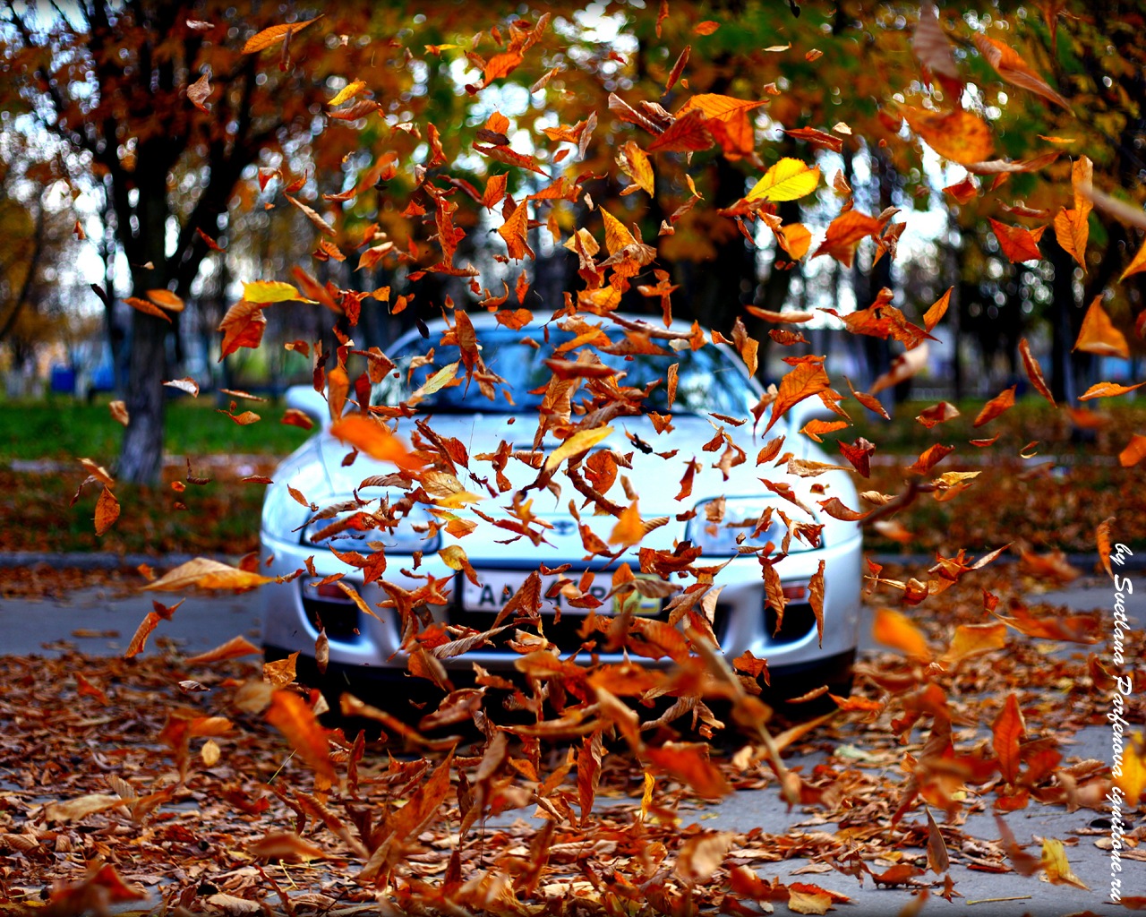 Машина осень