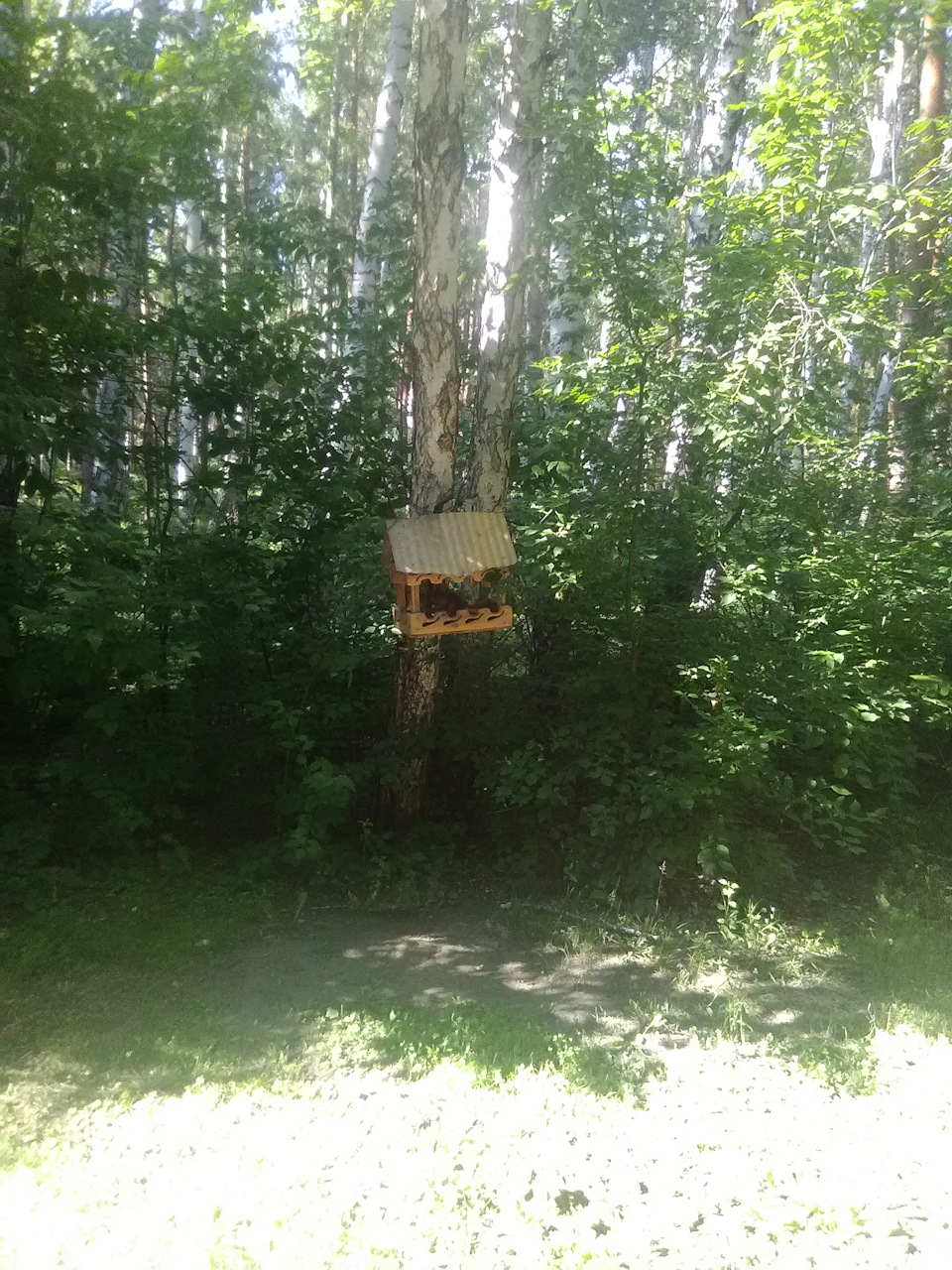 Фото в бортжурнале Haval H6 (1G)