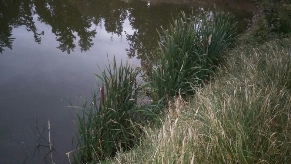 Фото в бортжурнале KIA Sorento (2G)