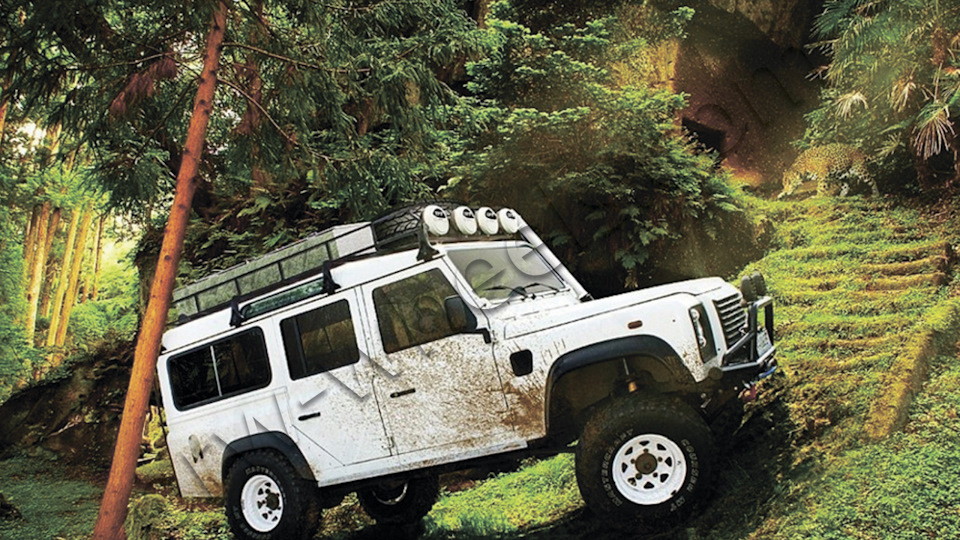 ORW: отзывы, цены, фото