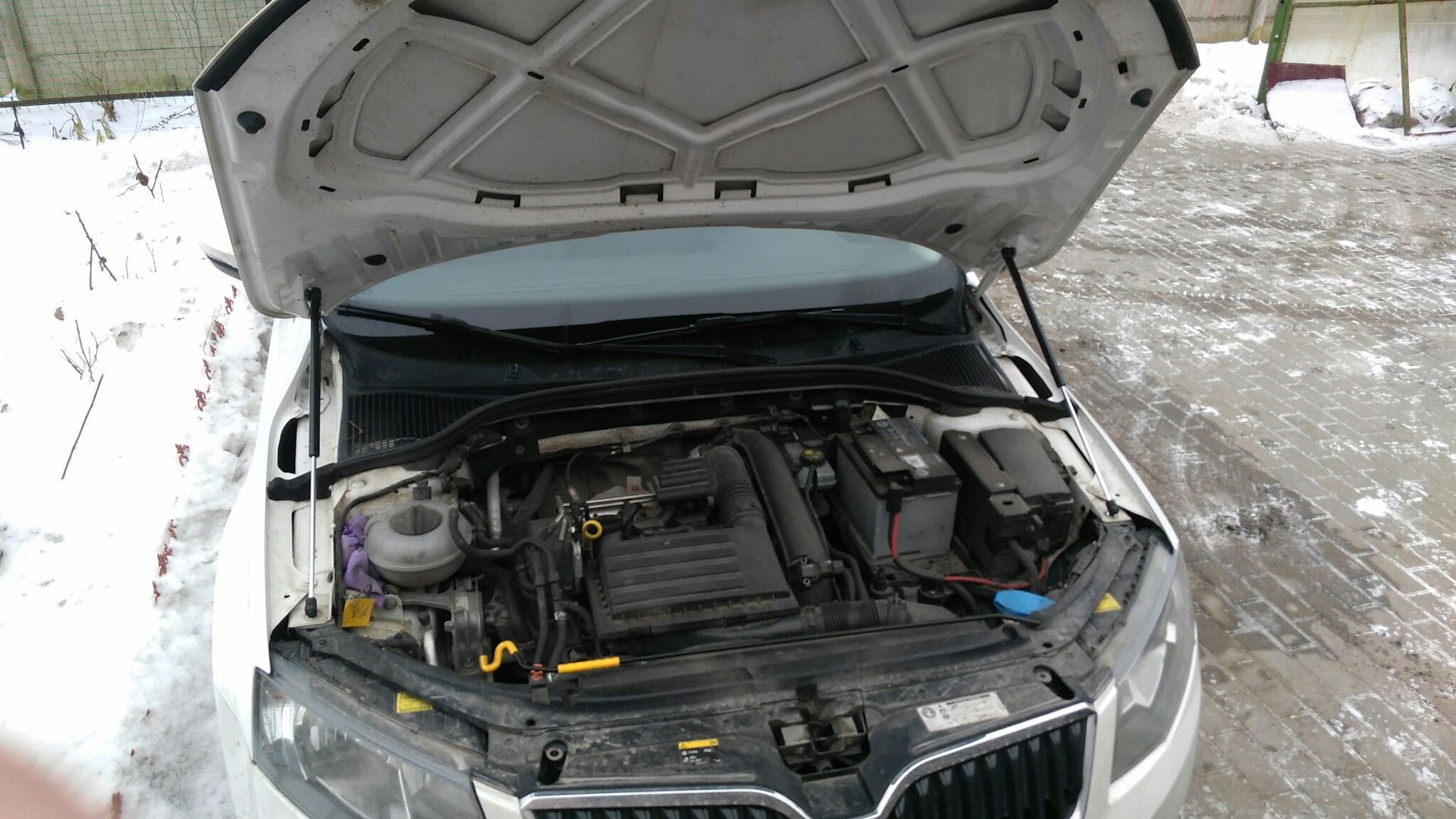 капот skoda octavia a7. Uskoa7012 амортизаторы капота шкода октавия а7. амортизаторы капота октавия а7. упоры багажника октавия а7. амортизатор капота skoda octavia a7.