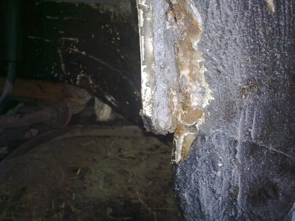 Стиль гниль. Форд фокус 2 днище гнилое. Гниль от шумоизоляции. Гниль ботритис. Гниль 23.