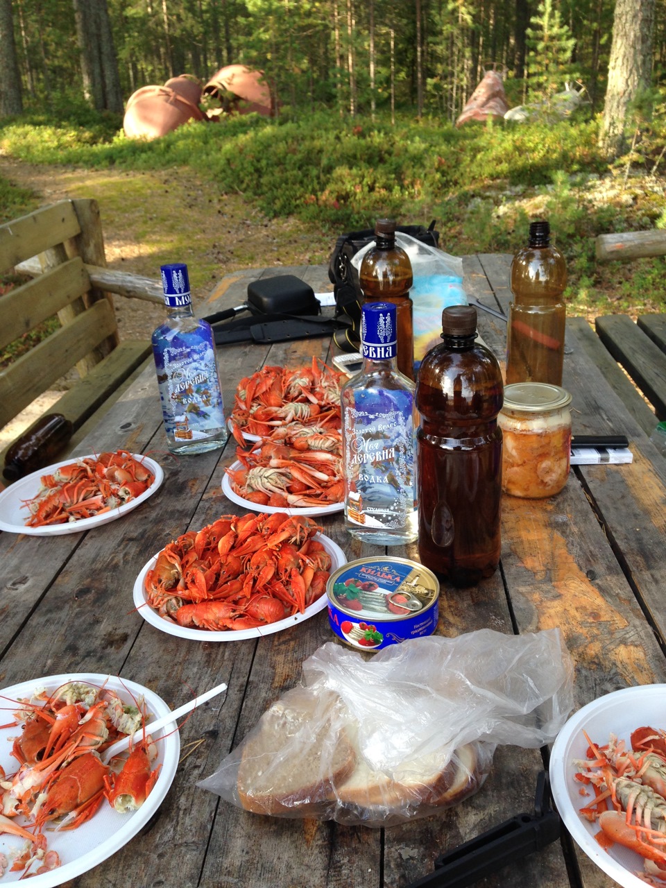 Фото в бортжурнале SsangYong Kyron