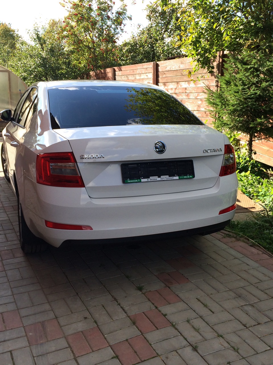 Затонировался и лоб Хамелеон! — Skoda Octavia A7 Mk3, 1,4 л, 2014 года ...