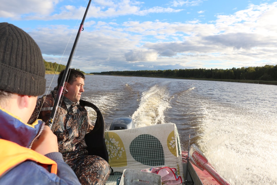 Озеро Воже Вологодская область. Озеро Воже рыбалка. Озеро Воже Архангельская область.