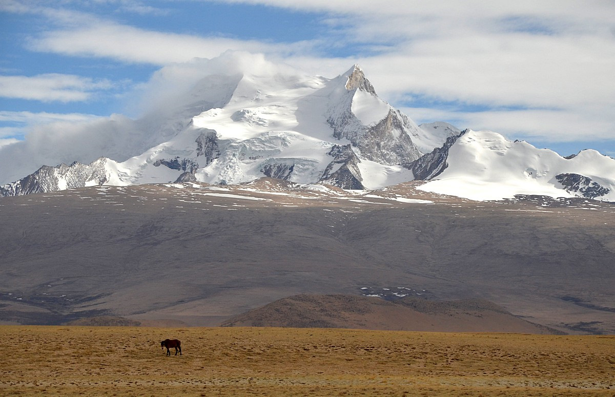 Toyota Everest