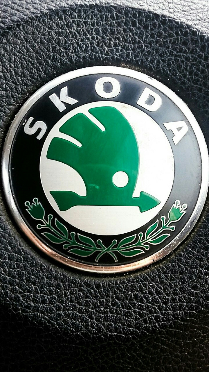 ТО, запись для себя! — Skoda Octavia A4 Mk1, 1,6 л, 2008 года ...