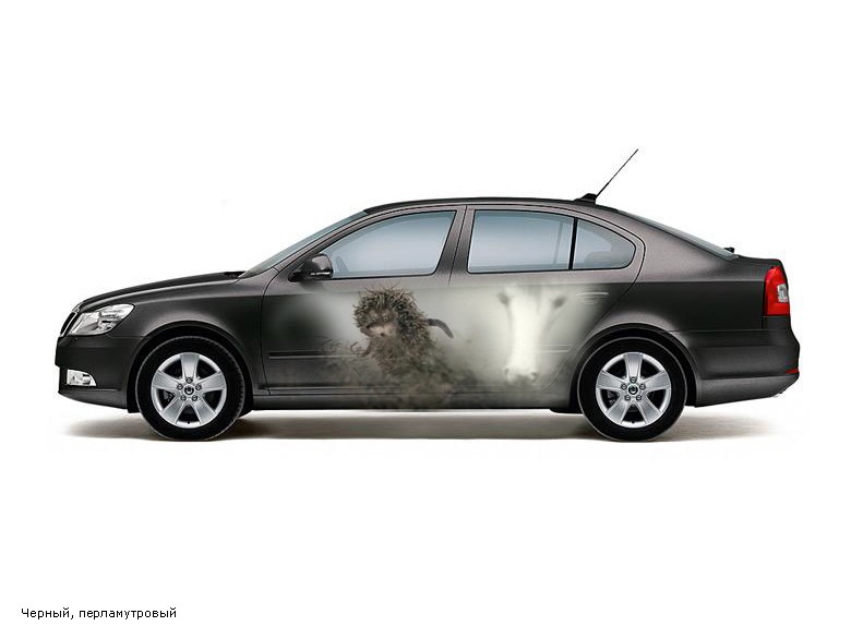 Отдал машинку на аэрографию — Skoda Octavia A5 Mk2, 1,6 л, 2011 года ...
