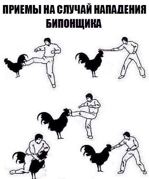 Как боксируют девочки мем