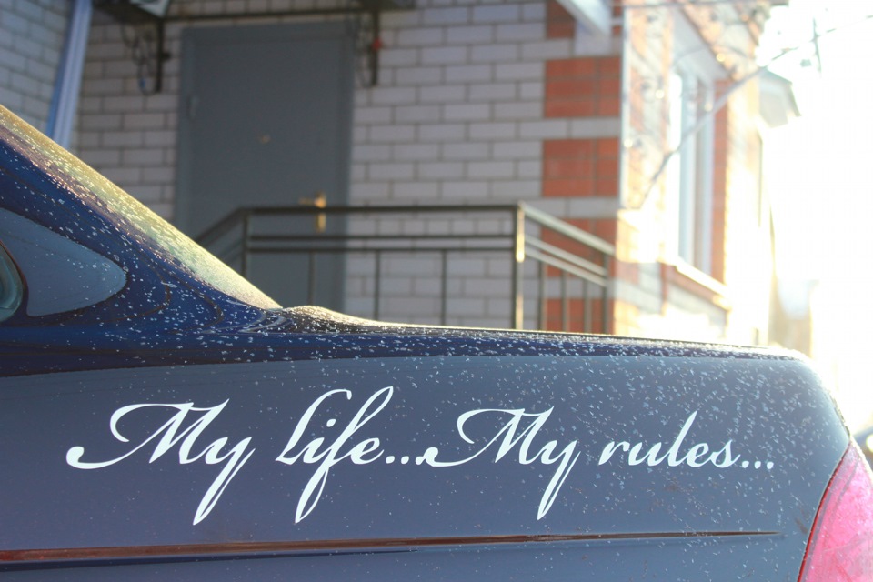 Me life my rules. My Life my Rules BMW. Гроб my Life my Rules. Май лайф май рулез. My Life my Rules Мем.