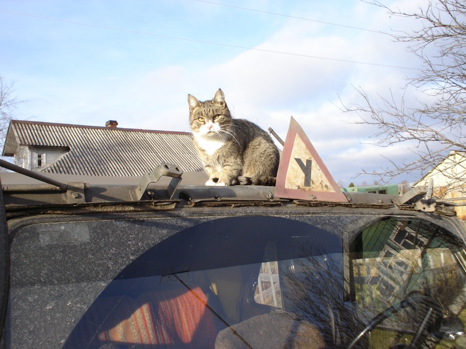 Времечко летит — Audi A8 (D2), 2,5 л, 2000 года | просто так | DRIVE2
