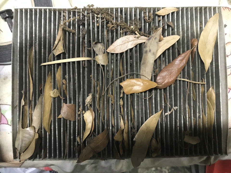 Вибрация при включении салонного вентилятора — Jeep Renegade, 2,4 л ...