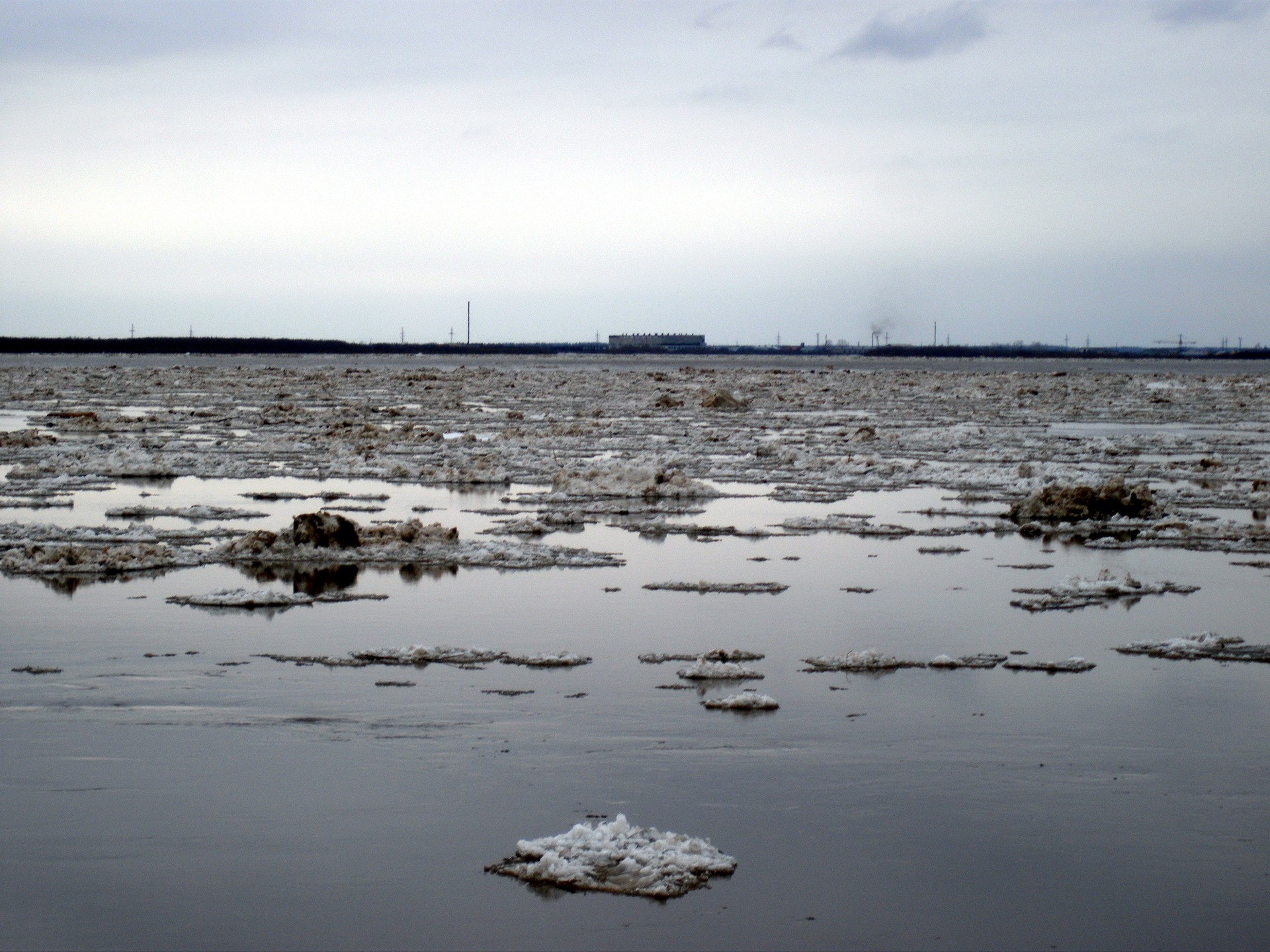 Ледоход на северной двине сегодня. Ледоход на Северной Двине. Северная Двина грязь. Ледоход на Северной Двине атлас.