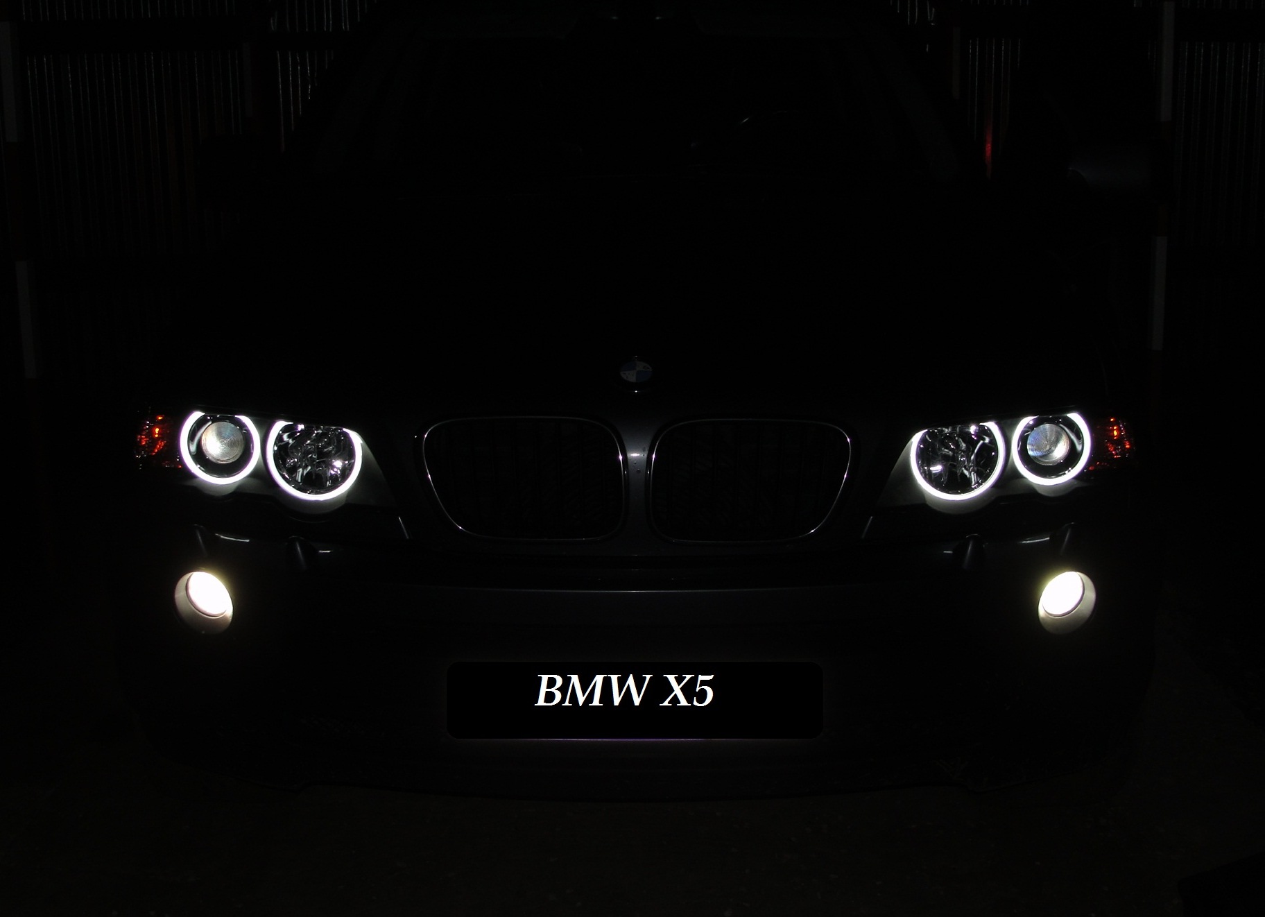 Ангельские глазки х5. Ангельские глазки БМВ х5. Ангельские глазки BMW е53. BMW e53 ангельские глазки. BMW е39 ангельские глазки в темноте.