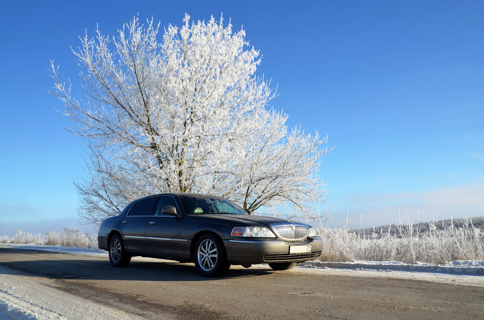 Радует меня это дерево — сейчас оно покрыто инеем, а летом, когда обрастает листвой, оно похоже на большую морду собаки))) — Lincoln Town Car III