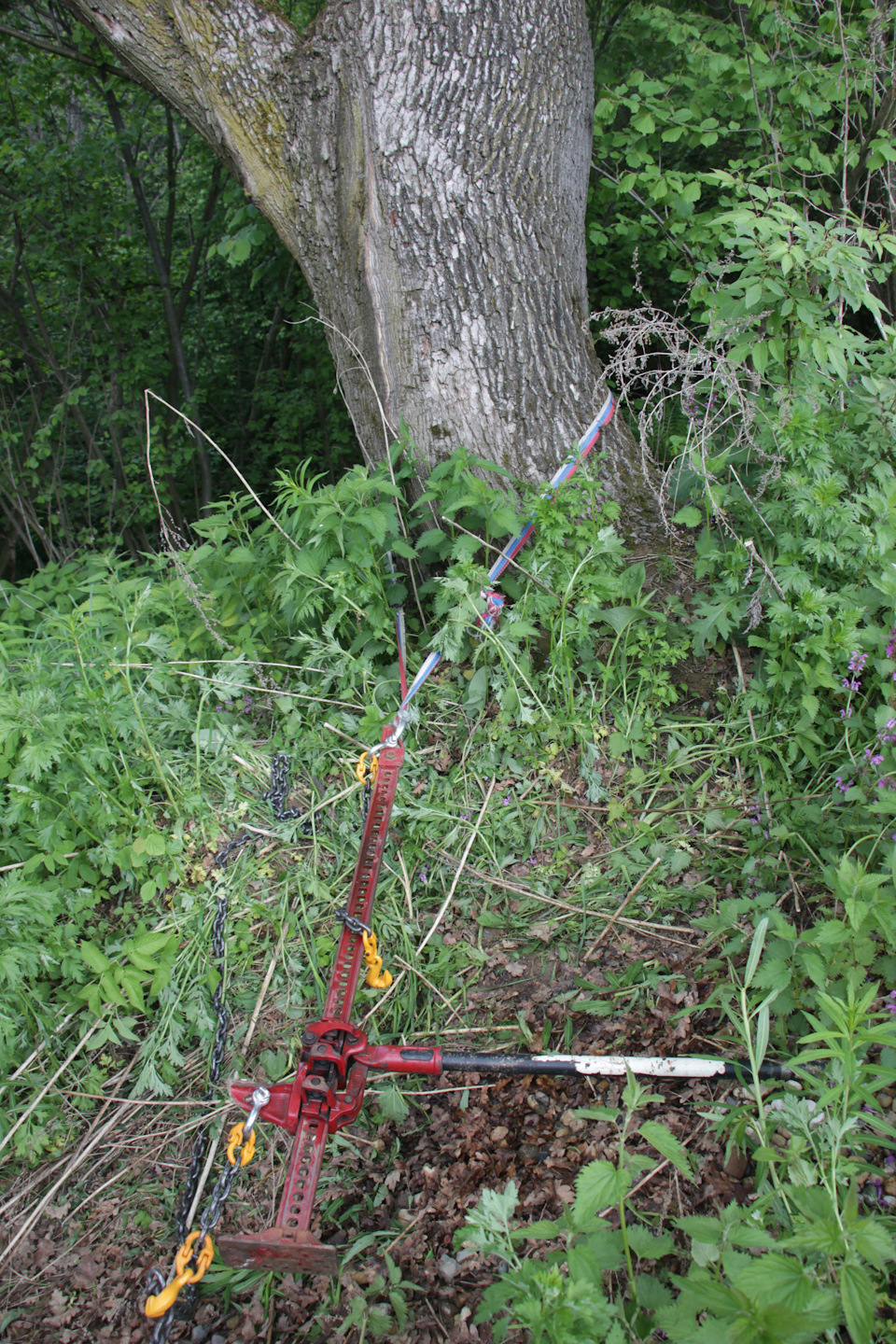 Реечный домкрат как лебедка. Смотреть фото Реечный домкрат как лебедка. Смотреть картинку Реечный домкрат как лебедка. Картинка про Реечный домкрат как лебедка. Фото Реечный домкрат как лебедка Реечный домкрат как лебедка. Смотреть фото Реечный домкрат как лебедка. Смотреть картинку Реечный домкрат как лебедка. Картинка про Реечный домкрат как лебедка. Фото Реечный домкрат как лебедка