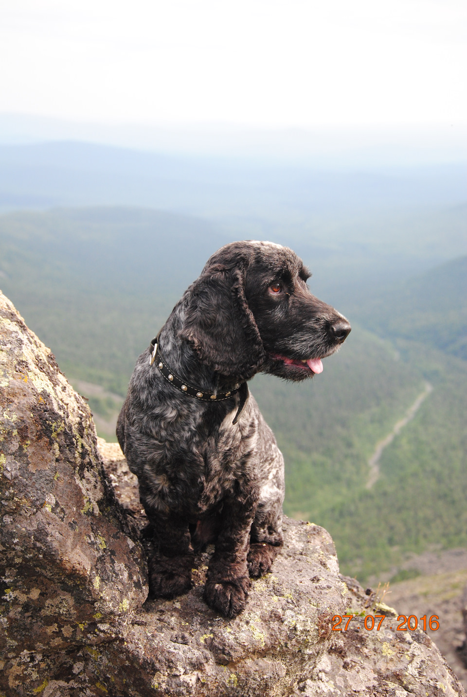 Off-road v.1.0 Ural Edition — Mitsubishi Pajero Sport (2G)