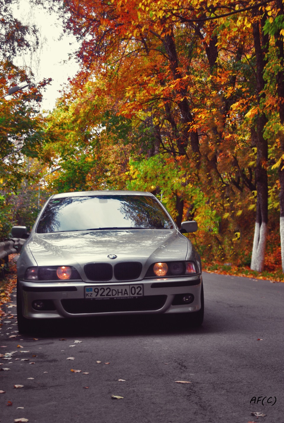 BMW e39 осень