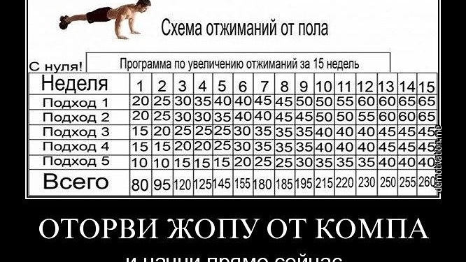 Таблица отжиманий от пола на месяц