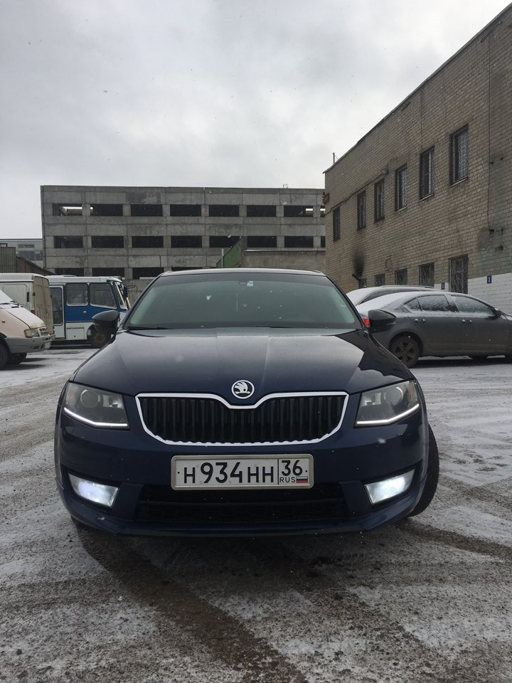 Гос номер Skoda Octavia 2017 год