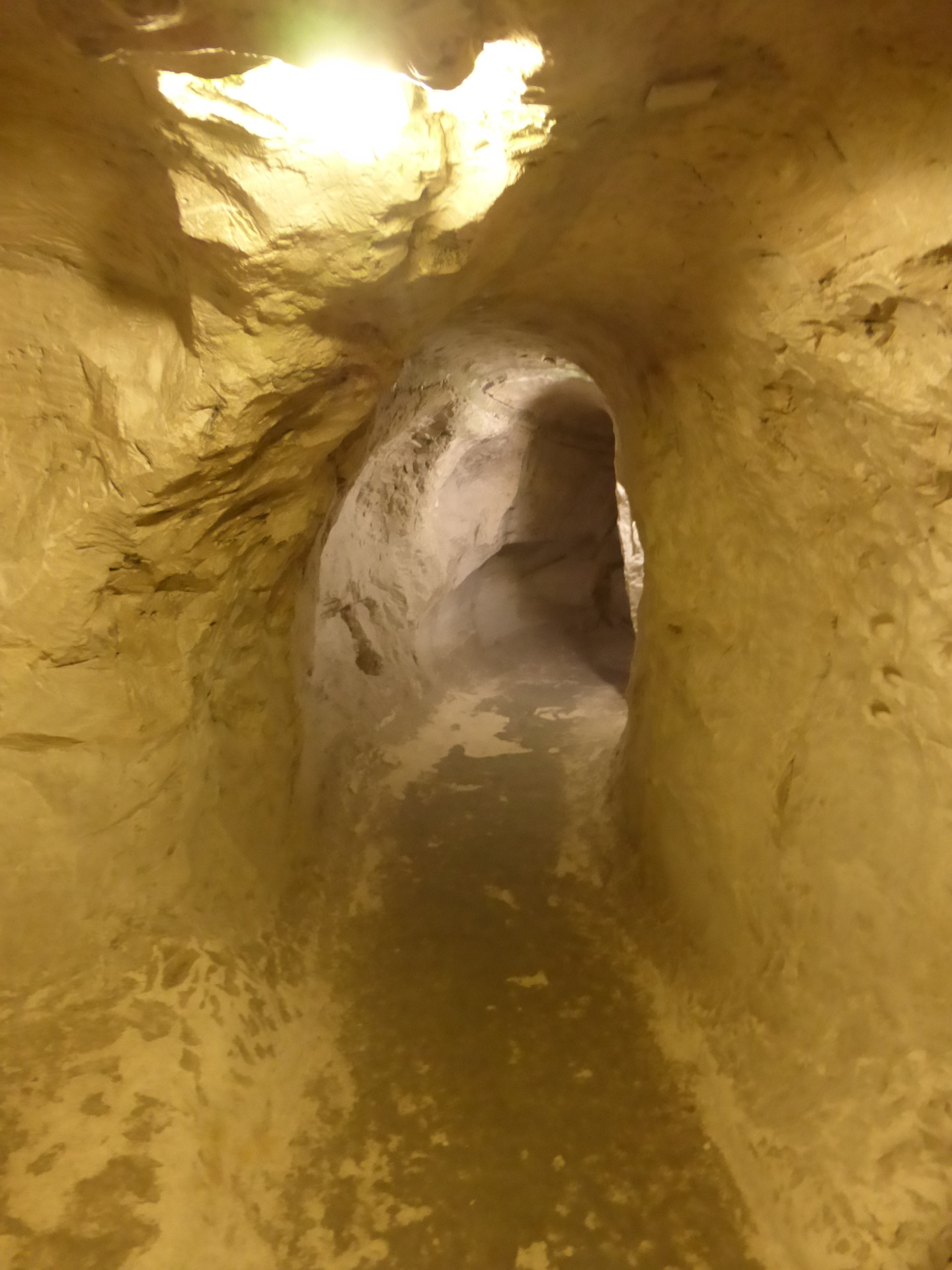 Белгородская область - Регионы - Каталог Каталог векторных карт