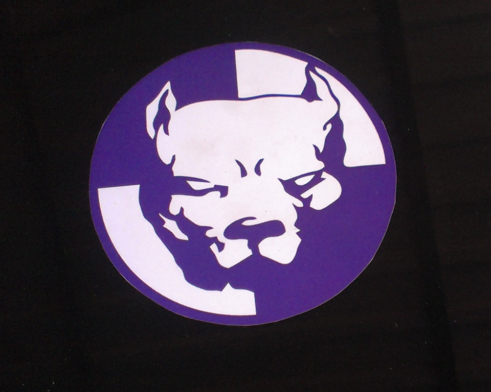 Мой Pitbull! — BMW 3 series (E46), 2 л, 1998 года | фотография | DRIVE2