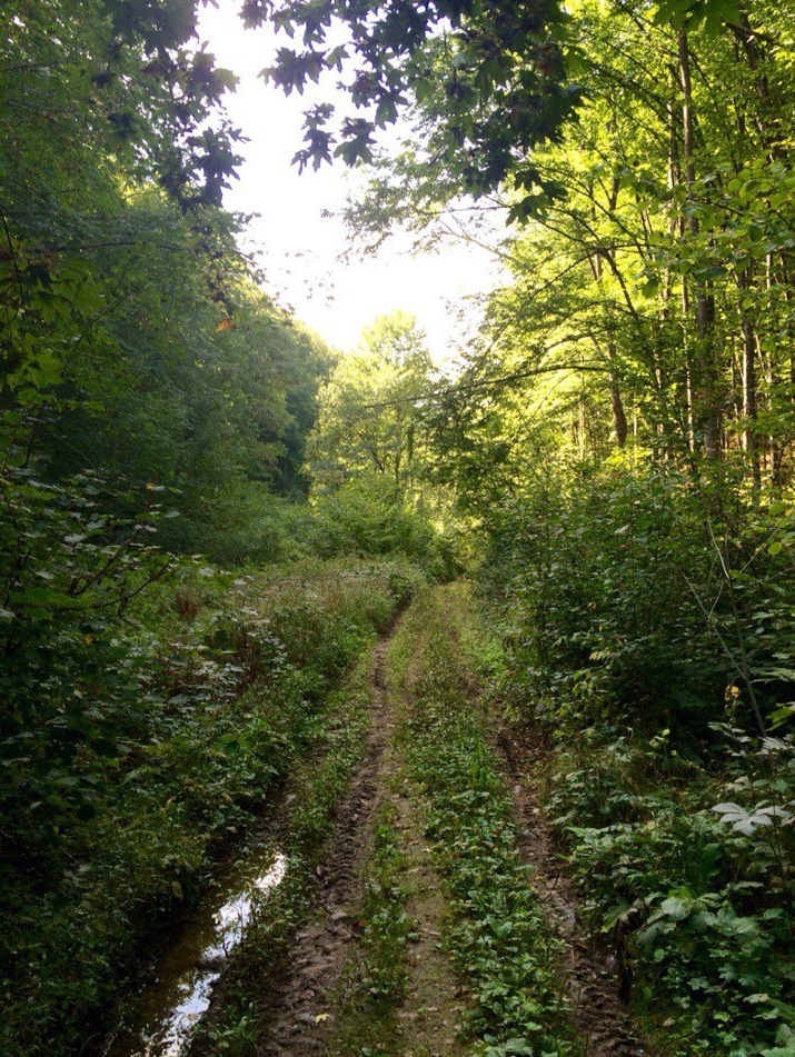 Наедине с природой — DRIVE2