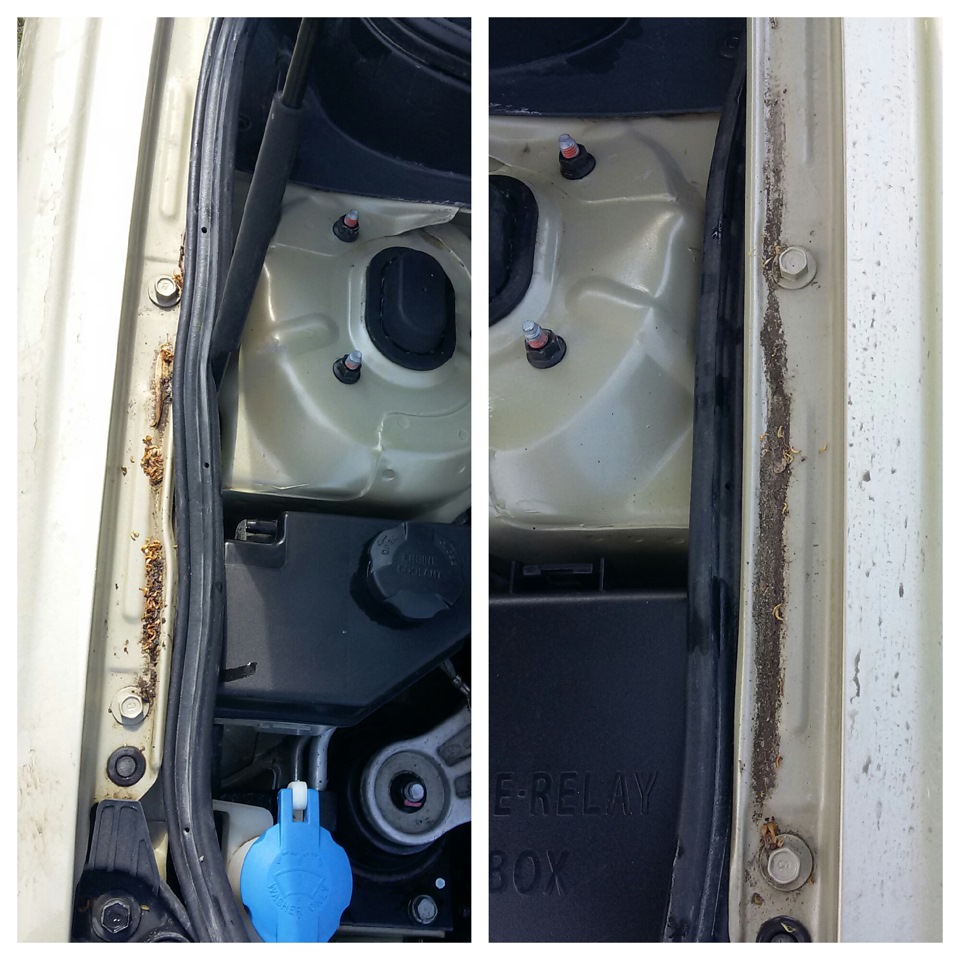 Фото в бортжурнале KIA Rio 5-door (2G)