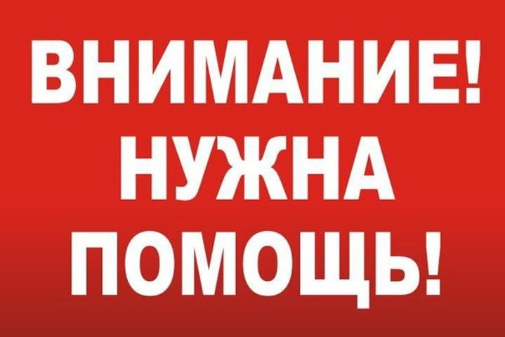 Картинки и надписями о помощи