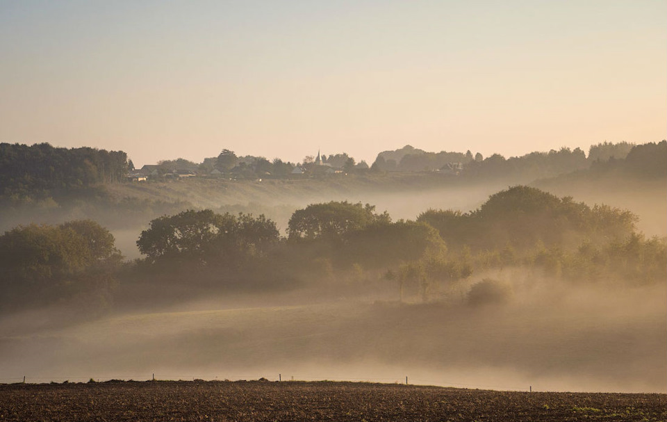 Инфинити против ниссана или коньяк против бренди — DRIVE2