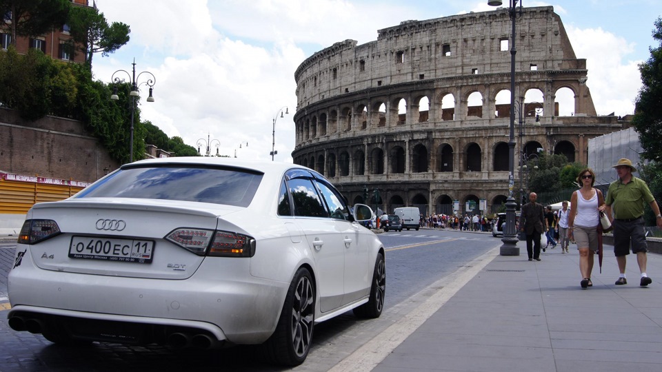 Audi A4 White Shark