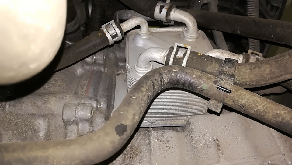 Снимаем верхний левый шланг, ведущий к радиатору. — Suzuki SX4 (2G)