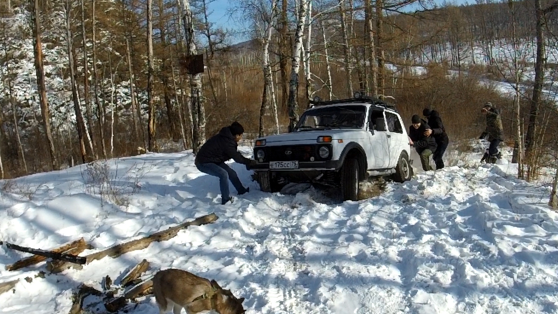 Нива замерзла. Зимние оффроад покатушки. Покатушки на Ниве зимой. Охота на ниву зимой. Нива Форестер.